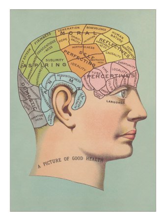 Phrenology Chart of Head