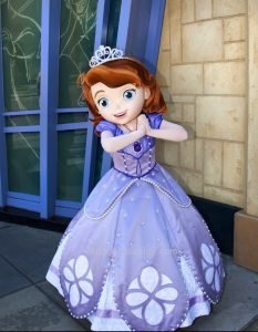 princess sofia dress disney store
