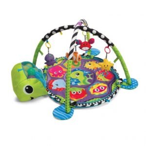 Infantino Grow-with-me Activity Gym and Ball Pit
