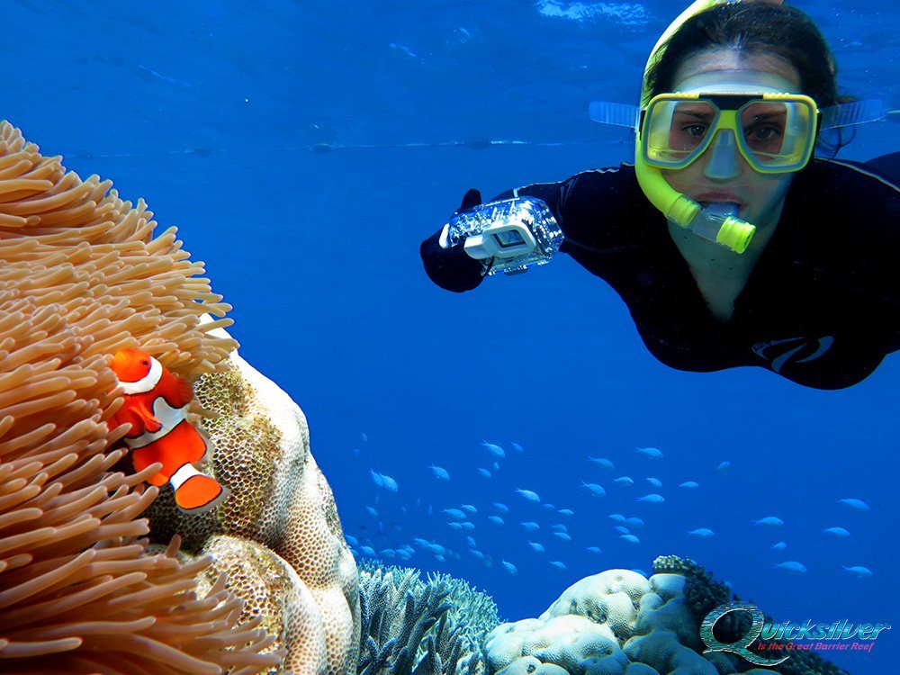 great-barrier-reef-diving.jpg