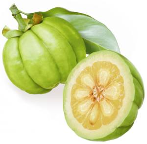 Garcinia Cambogia: Why Should You Know These Words?