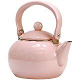 Calypso Basics by Reston Lloyd Enamel-on-Steel Tea Kettle