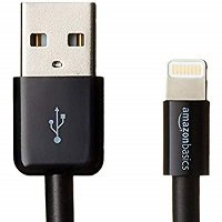 AmazonBasics Lightning to USB