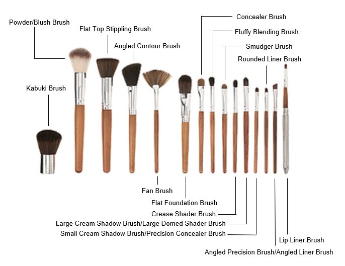 Brush to Use for Concealer