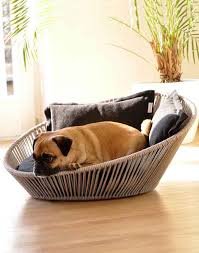 Best Dog Bed Reviews